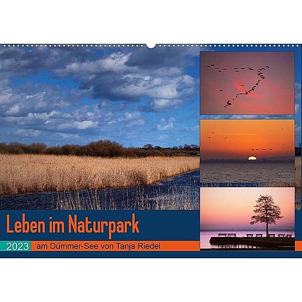 Leben am Naturpark um den Dümmer See (Wandkalender 2023 DIN A2 quer), Tanja Riedel