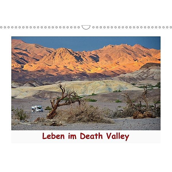 Leben im Death Valley (Wandkalender 2020 DIN A3 quer), Dieter-M. Wilczek