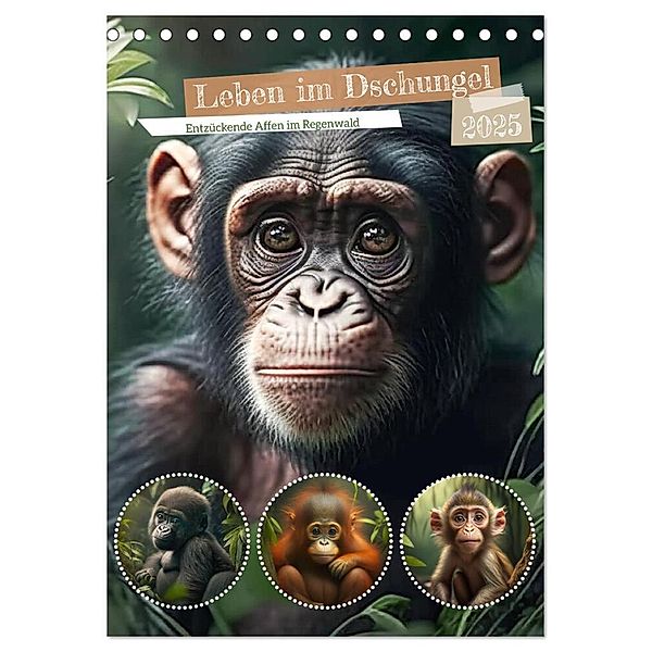 Leben im Dschungel. Entzückende Affen im Regenwald (Tischkalender 2025 DIN A5 hoch), CALVENDO Monatskalender, Calvendo, Rose Hurley