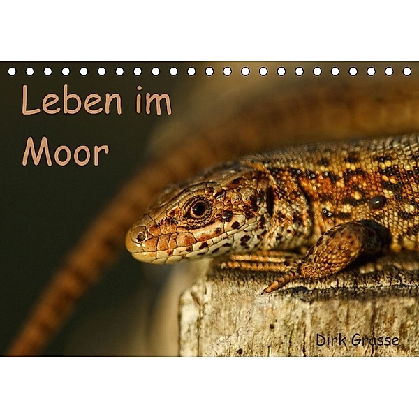 Leben im Moor (Tischkalender 2014 DIN A5 quer), Dirk Grasse
