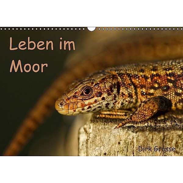 Leben im Moor (Wandkalender 2014 DIN A3 quer), Dirk Grasse