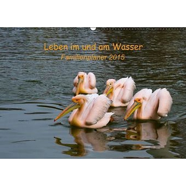 Leben im und am Wasser - Ein feuchtfröhlicher Familienplaner (Wandkalender 2015 DIN A2 quer), Ursula Di Chito