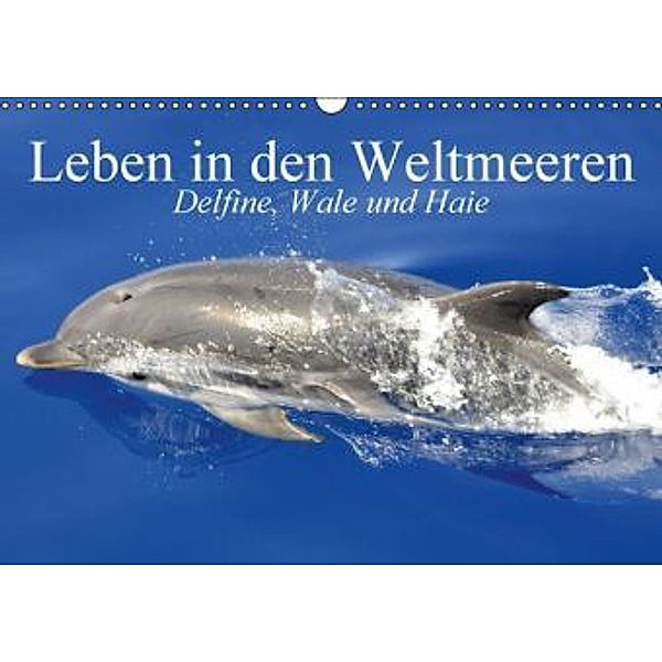 Leben in den Weltmeeren. Delfine, Wale und Haie (Wandkalender 2016 DIN A3 quer), Elisabeth Stanzer