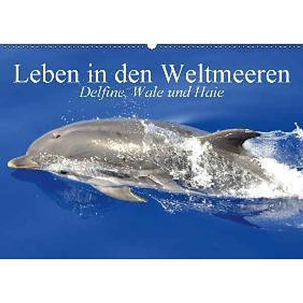 Leben in den Weltmeeren. Delfine, Wale und Haie (Wandkalender 2017 DIN A2 quer), Elisabeth Stanzer