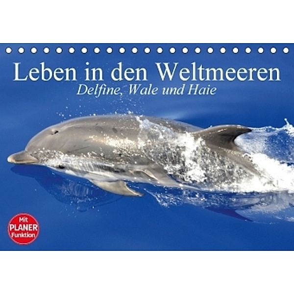 Leben in den Weltmeeren. Delfine, Wale und Haie (Tischkalender 2017 DIN A5 quer), Elisabeth Stanzer