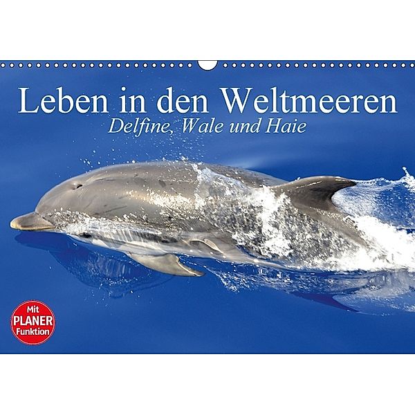 Leben in den Weltmeeren. Delfine, Wale und Haie (Wandkalender 2018 DIN A3 quer), Elisabeth Stanzer