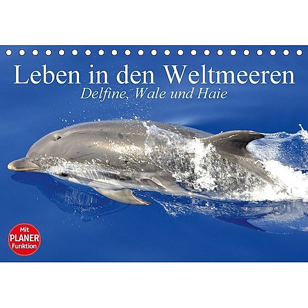 Leben in den Weltmeeren. Delfine, Wale und Haie (Tischkalender 2018 DIN A5 quer), Elisabeth Stanzer