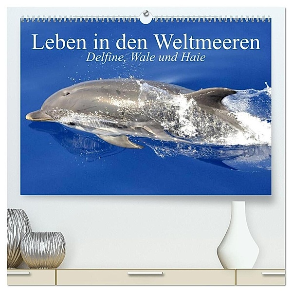 Leben in den Weltmeeren. Delfine, Wale und Haie (hochwertiger Premium Wandkalender 2024 DIN A2 quer), Kunstdruck in Hochglanz, Elisabeth Stanzer
