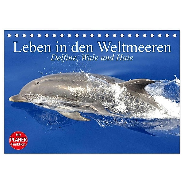 Leben in den Weltmeeren. Delfine, Wale und Haie (Tischkalender 2024 DIN A5 quer), CALVENDO Monatskalender, Elisabeth Stanzer