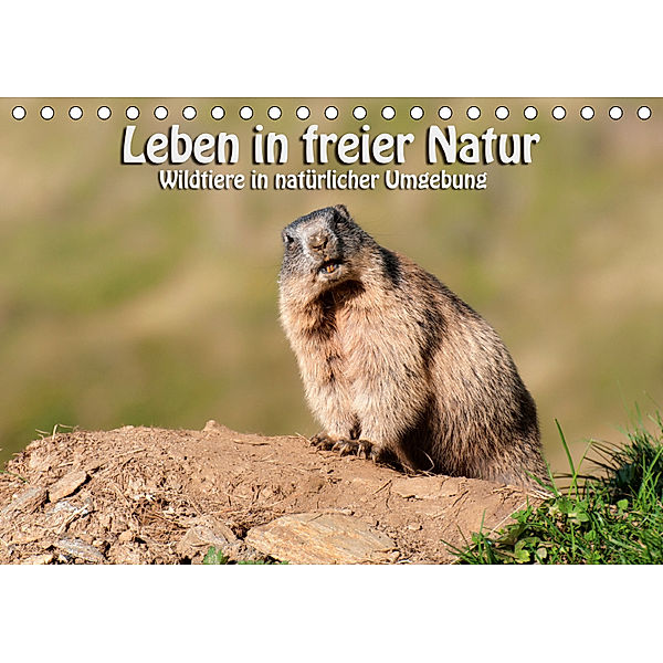 Leben in freier Natur - Wildtiere in natürlicher Umgebung (Tischkalender 2019 DIN A5 quer), Georg Niederkofler