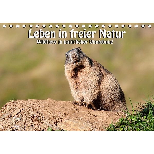 Leben in freier Natur - Wildtiere in natürlicher Umgebung (Tischkalender 2021 DIN A5 quer), Georg Niederkofler