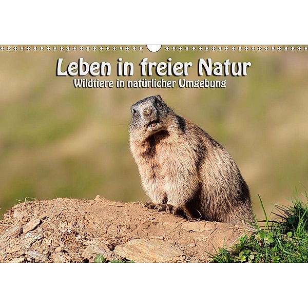 Leben in freier Natur - Wildtiere in natürlicher Umgebung (Wandkalender 2020 DIN A3 quer), Georg Niederkofler