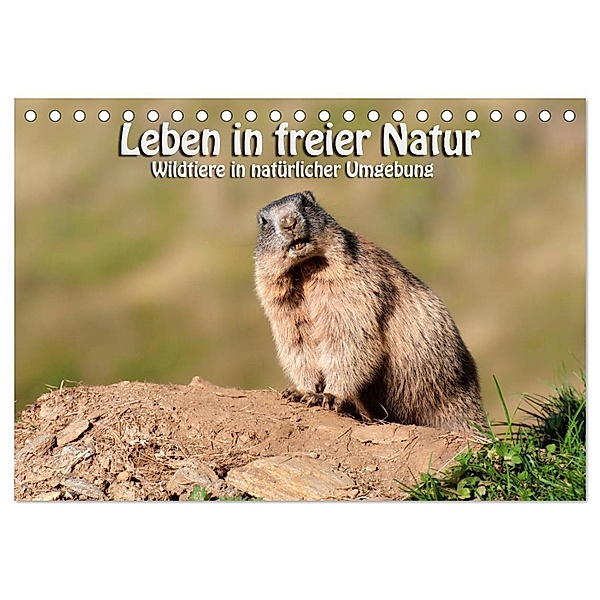 Leben in freier Natur - Wildtiere in natürlicher Umgebung (Tischkalender 2024 DIN A5 quer), CALVENDO Monatskalender, Georg Niederkofler