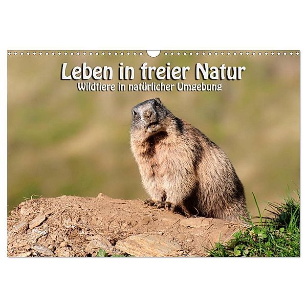 Leben in freier Natur - Wildtiere in natürlicher Umgebung (Wandkalender 2025 DIN A3 quer), CALVENDO Monatskalender, Calvendo, Georg Niederkofler