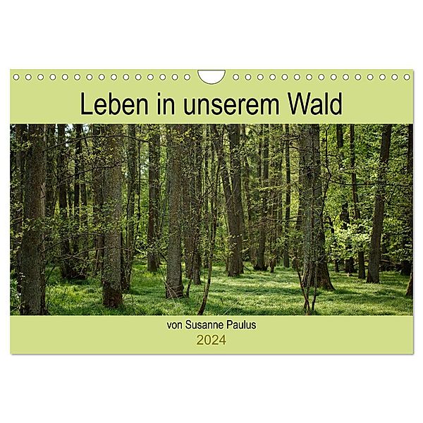 Leben in unserem Wald (Wandkalender 2024 DIN A4 quer), CALVENDO Monatskalender, Susanne Paulus