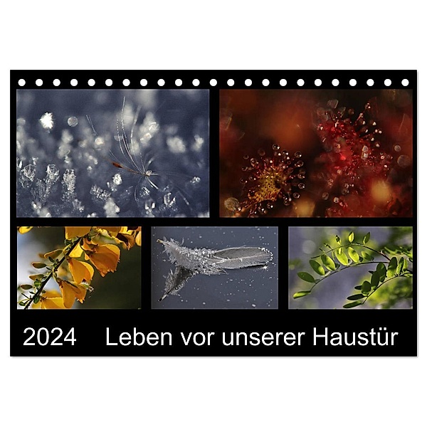 Leben vor unserer Haustür (Tischkalender 2024 DIN A5 quer), CALVENDO Monatskalender, Almut Eberhardt
