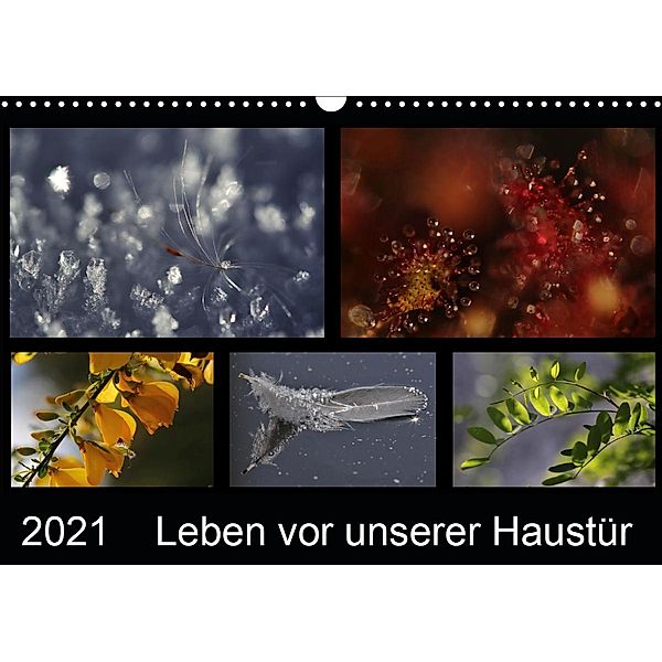 Leben vor unserer Haustür (Wandkalender 2021 DIN A3 quer), Almut Eberhardt