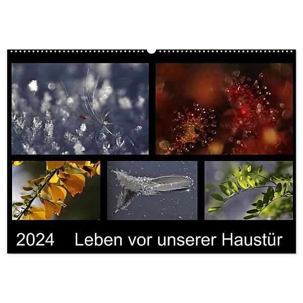 Leben vor unserer Haustür (Wandkalender 2024 DIN A2 quer), CALVENDO Monatskalender, Almut Eberhardt