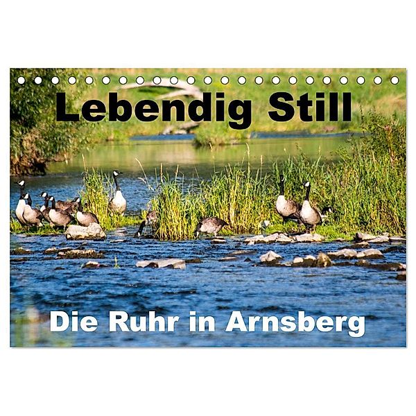 Lebendig Still - Die Ruhr in Arnsberg (Tischkalender 2024 DIN A5 quer), CALVENDO Monatskalender, Cm