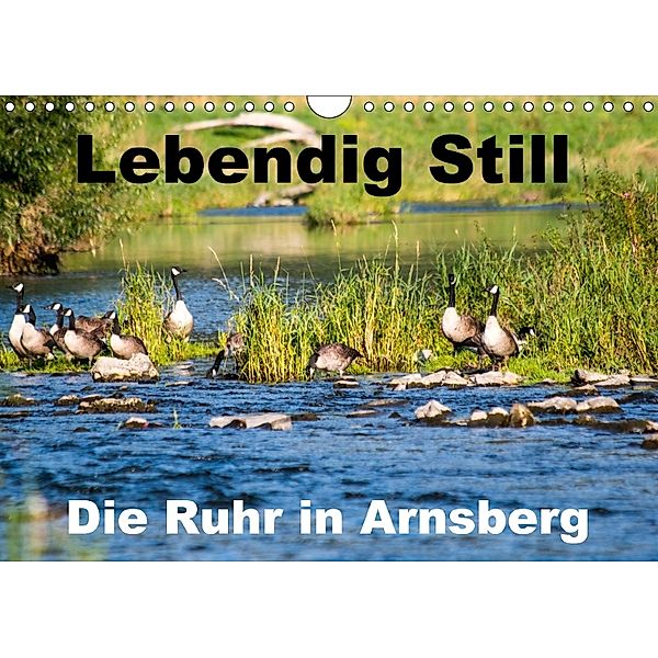 Lebendig Still - Die Ruhr in Arnsberg (Wandkalender 2018 DIN A4 quer), Cm