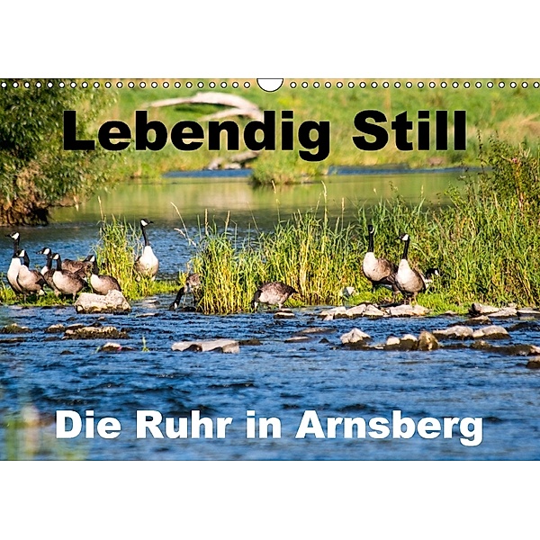 Lebendig Still - Die Ruhr in Arnsberg (Wandkalender 2018 DIN A3 quer), Cm