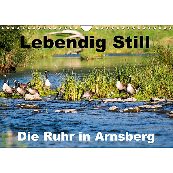 Lebendig Still - Die Ruhr in Arnsberg (Wandkalender 2020 DIN A4 quer)