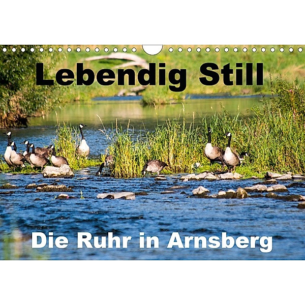 Lebendig Still - Die Ruhr in Arnsberg (Wandkalender 2021 DIN A4 quer), Cm