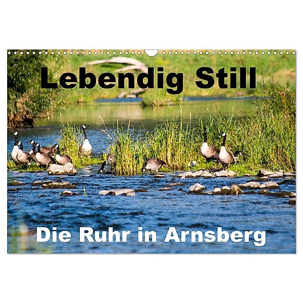 Lebendig Still - Die Ruhr in Arnsberg (Wandkalender 2024 DIN A3 quer), CALVENDO Monatskalender, Cm
