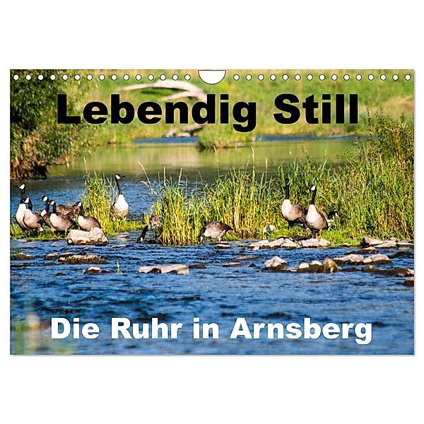 Lebendig Still - Die Ruhr in Arnsberg (Wandkalender 2024 DIN A4 quer), CALVENDO Monatskalender, Cm