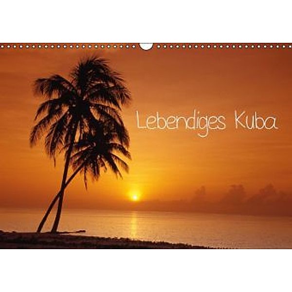 Lebendiges Kuba (Wandkalender 2015 DIN A3 quer), Calvendo