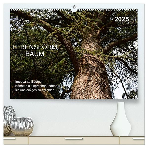 Lebensform Baum (hochwertiger Premium Wandkalender 2025 DIN A2 quer), Kunstdruck in Hochglanz, Calvendo, Marlise Gaudig
