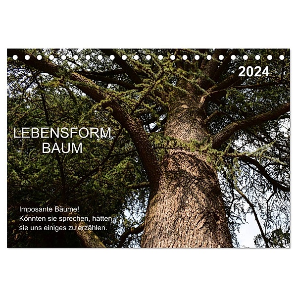Lebensform Baum (Tischkalender 2024 DIN A5 quer), CALVENDO Monatskalender, Marlise Gaudig