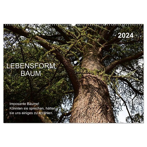Lebensform Baum (Wandkalender 2024 DIN A2 quer), CALVENDO Monatskalender, Marlise Gaudig