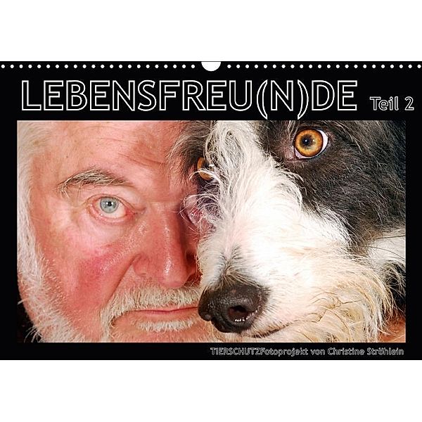 LEBENSFREU(N)DE Teil 2 (Wandkalender 2017 DIN A3 quer), Christine Ströhlein