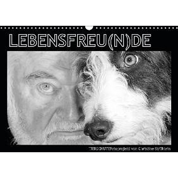 LEBENSFREU(N)DE (Wandkalender 2016 DIN A3 quer), Christine Ströhlein