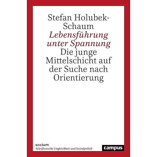 Lebensführung unter Spannung, Stefan Holubek-Schaum