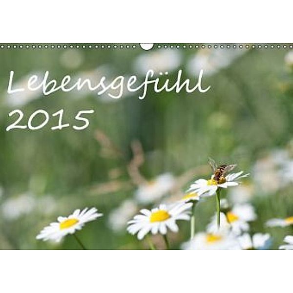 Lebensgefühl 2015 (Wandkalender 2015 DIN A3 quer), vdp-fotokunst