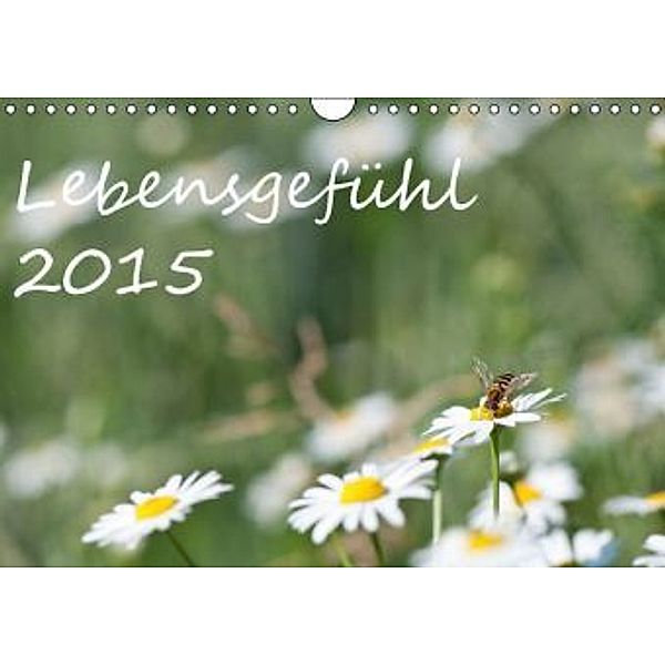 Lebensgefühl 2015 (Wandkalender 2015 DIN A4 quer), vdp-fotokunst