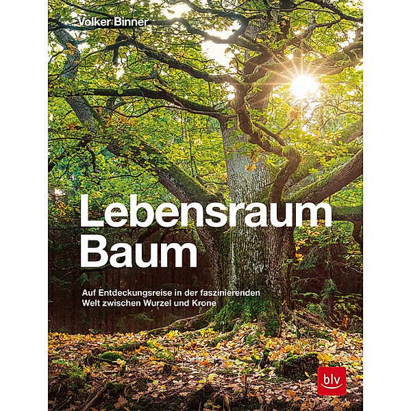 Lebensraum Baum, Volker Binner