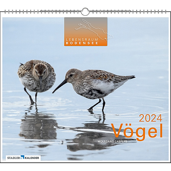 Lebensraum Bodensee - Vögel 2024