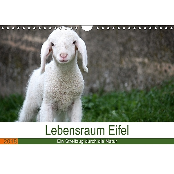 Lebensraum Eifel (Wandkalender 2018 DIN A4 quer), Elke Knoden