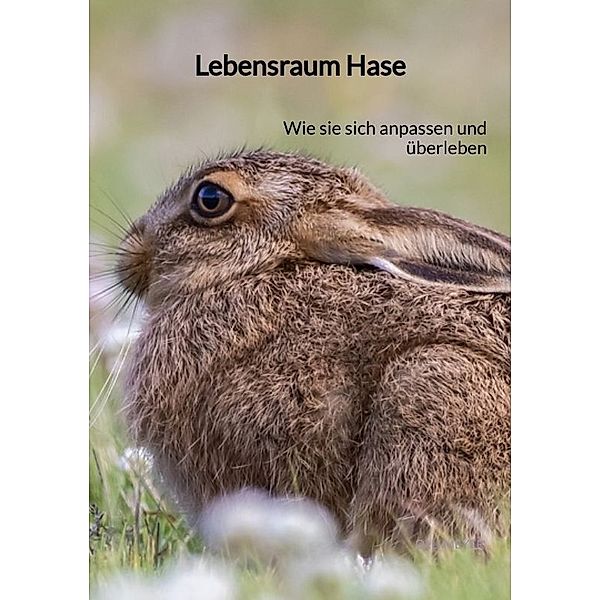 Lebensraum Hase, Olli Meyer