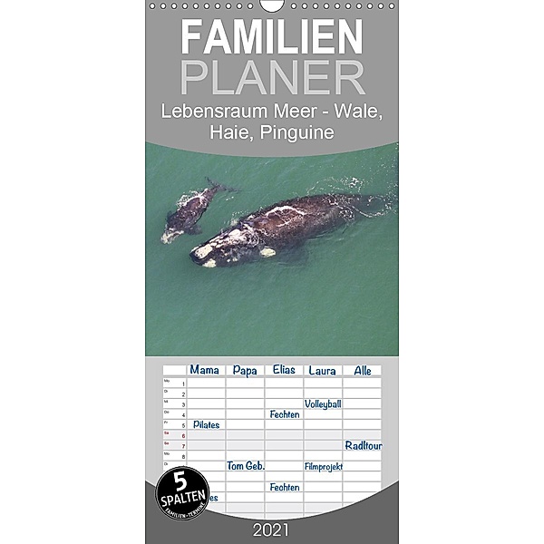 Lebensraum Meer - Wale, Haie, Pinguine - Familienplaner hoch (Wandkalender 2021 , 21 cm x 45 cm, hoch), Michael Herzog
