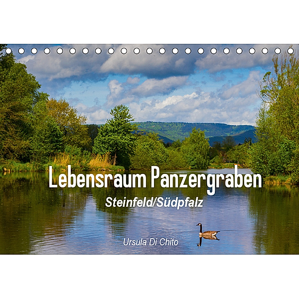 Lebensraum Panzergraben (Tischkalender 2019 DIN A5 quer), Ursula Di Chito