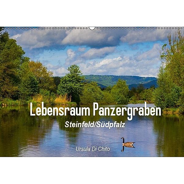 Lebensraum Panzergraben (Wandkalender 2019 DIN A2 quer), Ursula Di Chito