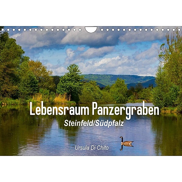 Lebensraum Panzergraben (Wandkalender 2023 DIN A4 quer), Ursula Di Chito
