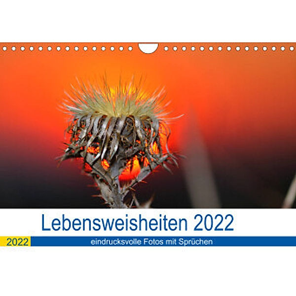 Lebensweisheiten 2022 (Wandkalender 2022 DIN A4 quer), Michis Fotogalerie