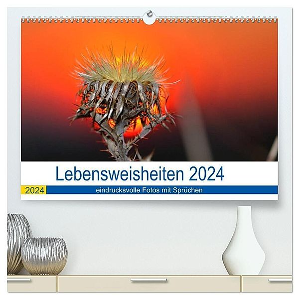 Lebensweisheiten 2024 (hochwertiger Premium Wandkalender 2024 DIN A2 quer), Kunstdruck in Hochglanz, Michis Fotogalerie