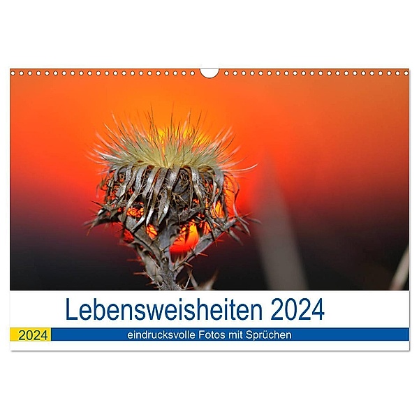 Lebensweisheiten 2024 (Wandkalender 2024 DIN A3 quer), CALVENDO Monatskalender, Michis Fotogalerie