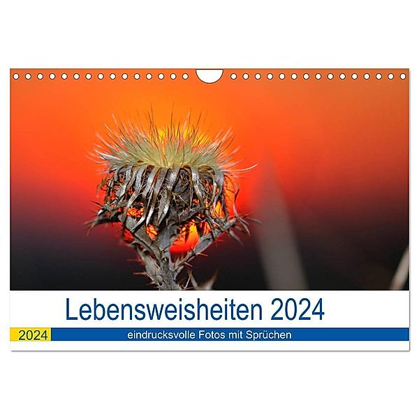 Lebensweisheiten 2024 (Wandkalender 2024 DIN A4 quer), CALVENDO Monatskalender, Michis Fotogalerie